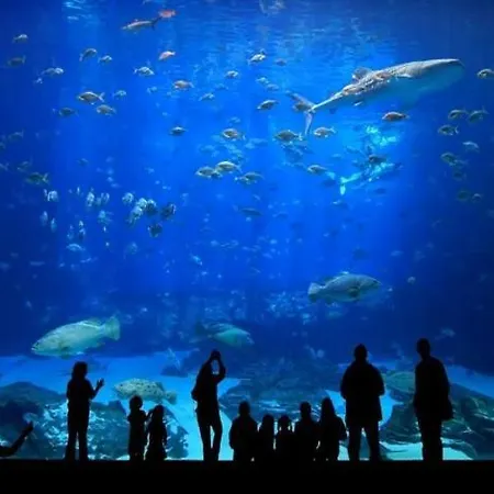 En * Playa del Inglés