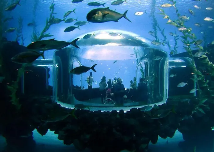 Διαμέρισμα En